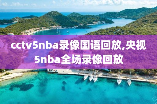 cctv5nba录像国语回放,央视5nba全场录像回放