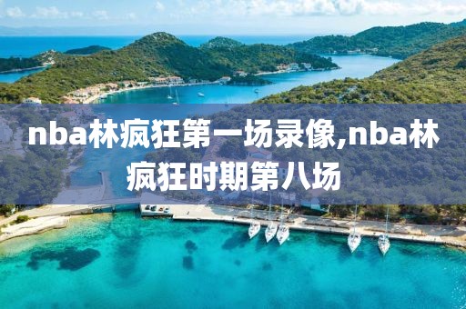 nba林疯狂第一场录像,nba林疯狂时期第八场