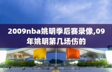 2009nba姚明季后赛录像,09年姚明第几场伤的