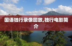 国语独行录像回放,独行电影简介
